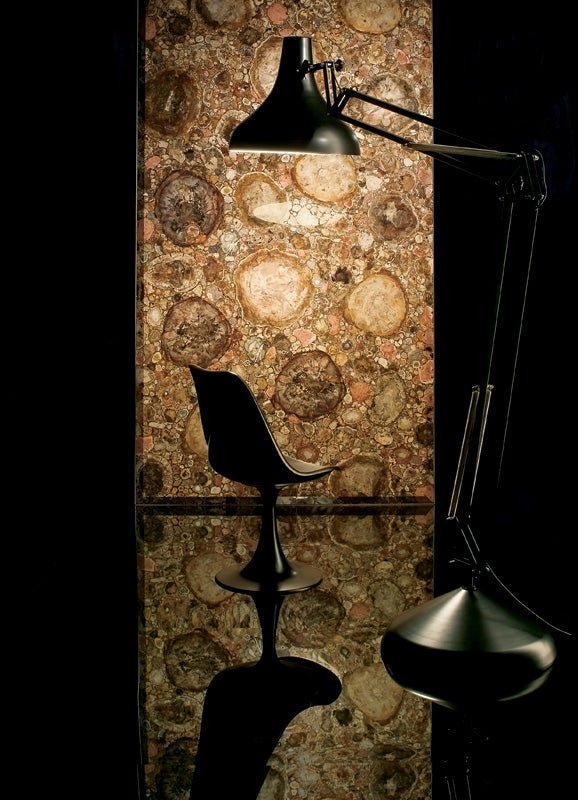 Brown Petrified Wood Precious Stone Antolini - Zicana Boutique - 5