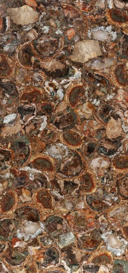 Brown Petrified Wood Precious Stone Zicana Boutique - Zicana Boutique - 1