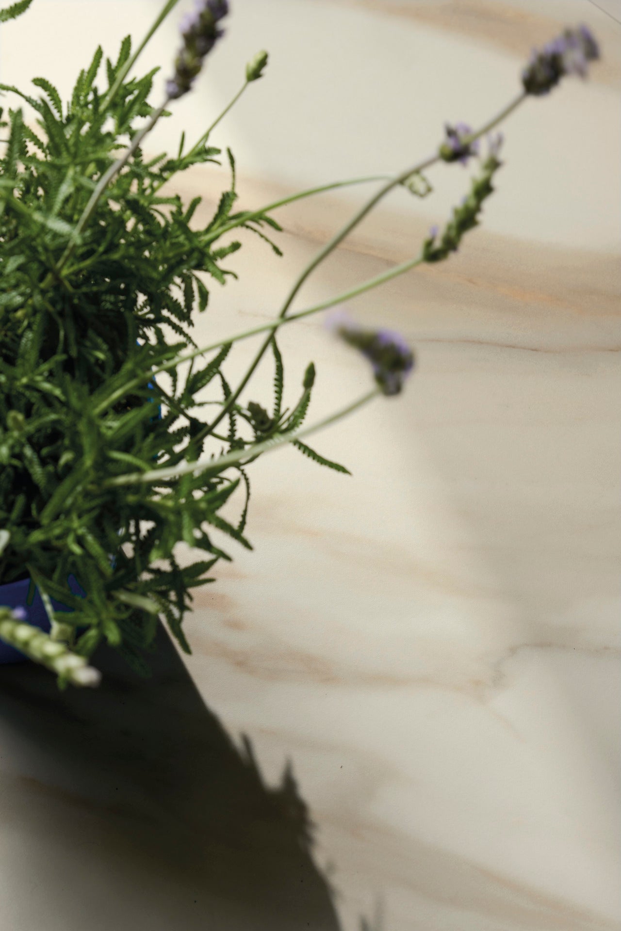 Calacatta Aureo 4D Sapienstone SapienStone - Zicana Boutique - 5