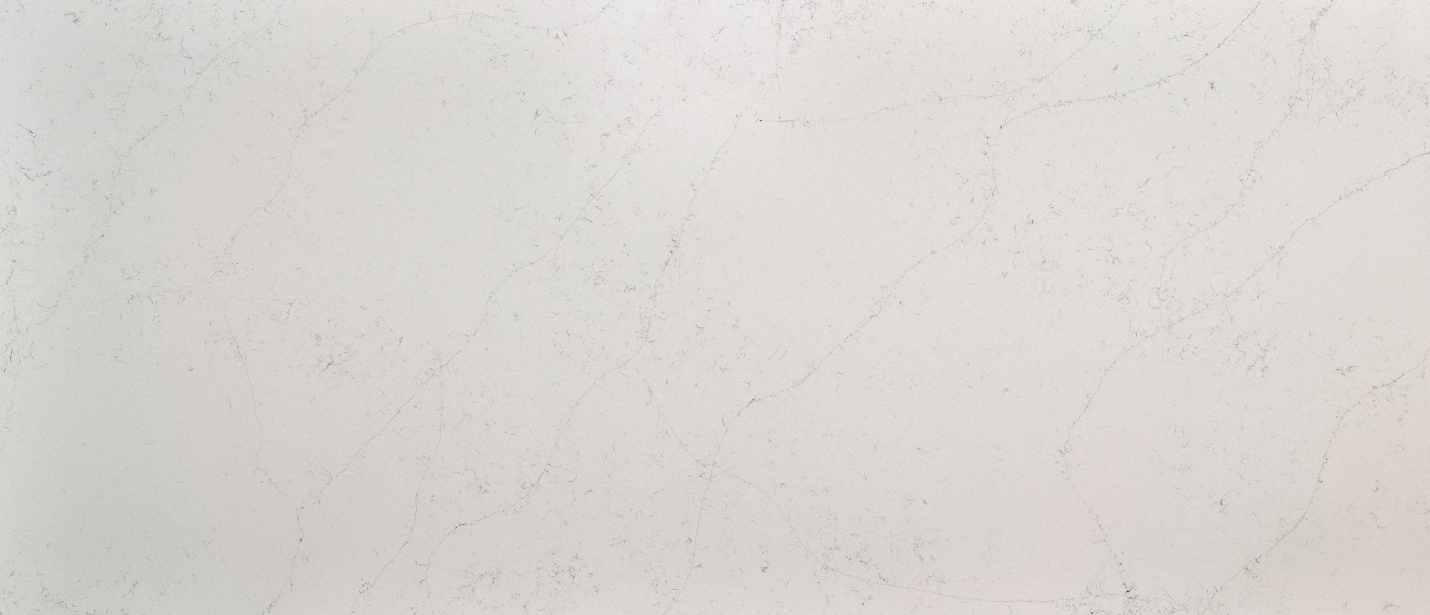 Calacatta Botanica Msi Q MSI - Zicana Boutique - 1
