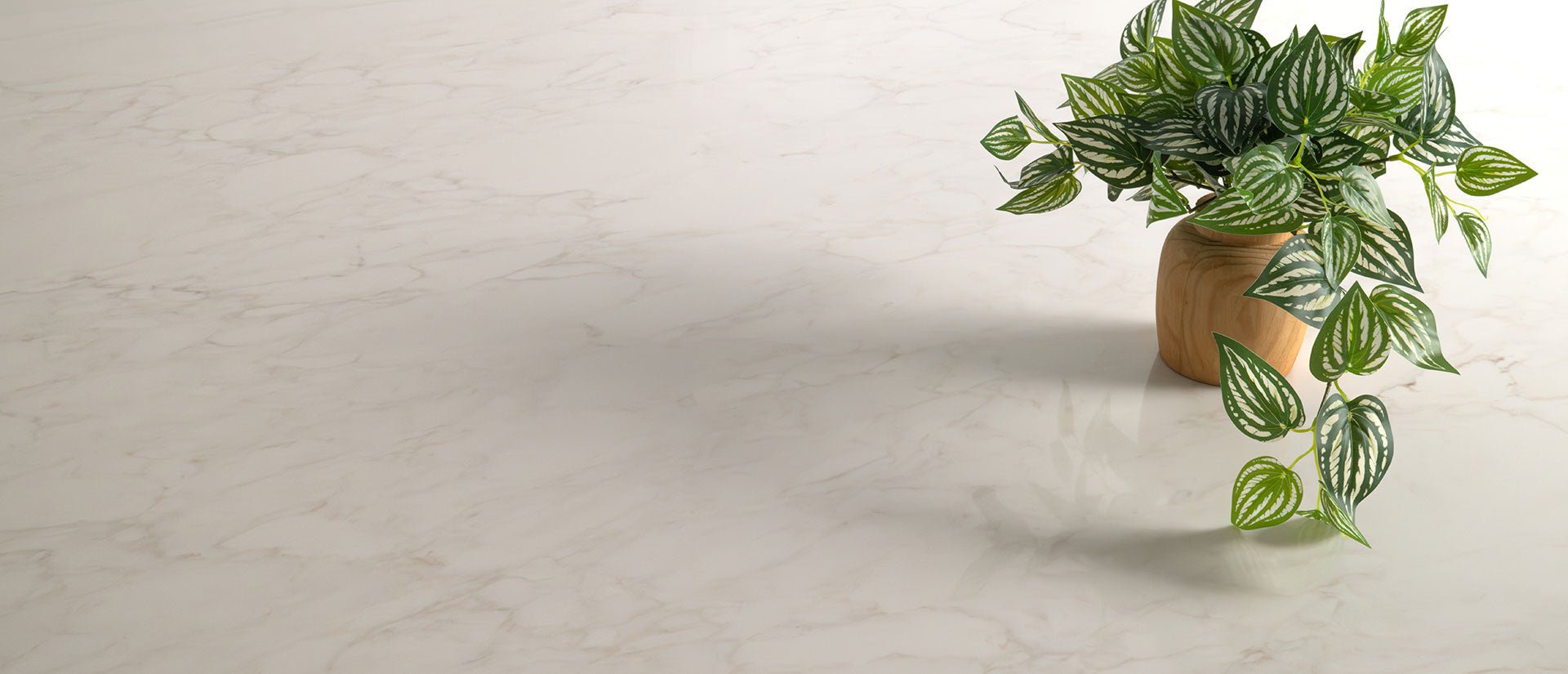 Calacatta Orella Msi Q MSI- Zicana Boutique -5