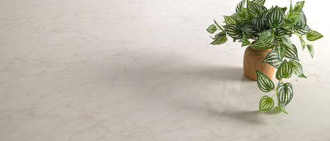 Calacatta Orella Msi Q MSI- Zicana Boutique -5