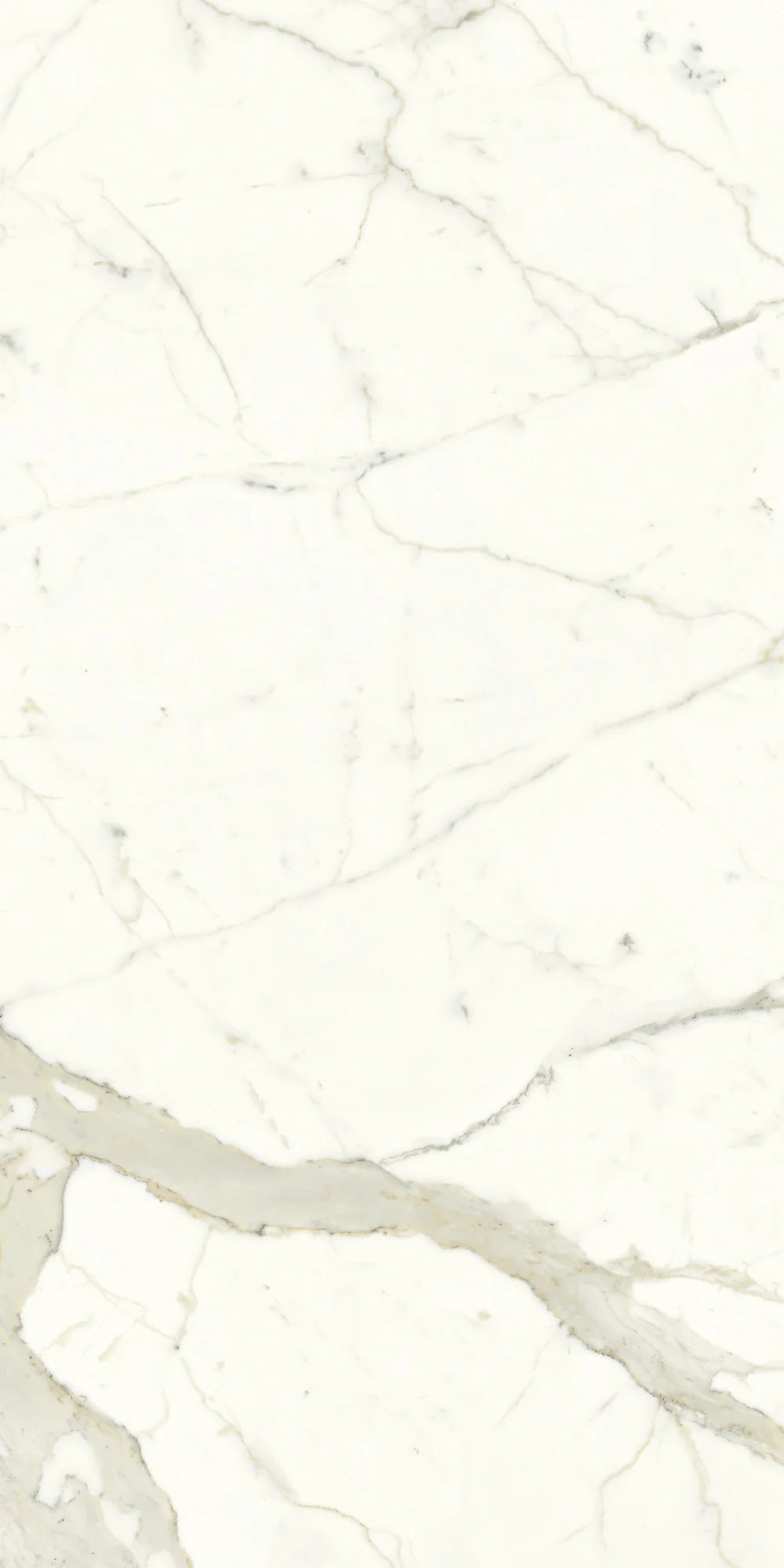 Calacatta Porcelain Field Tile 24" x 48" Artistic Tile - Zicana Boutique - 5