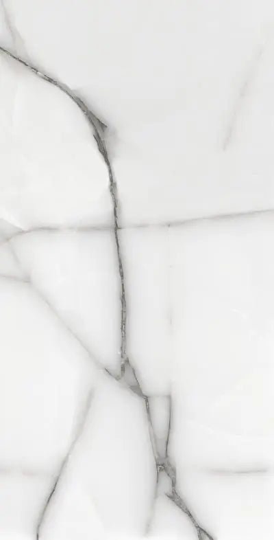 Calacatta Spider Raphael 32" x 64" Field Tile Raphael Porcelain - Zicana Boutique - 5