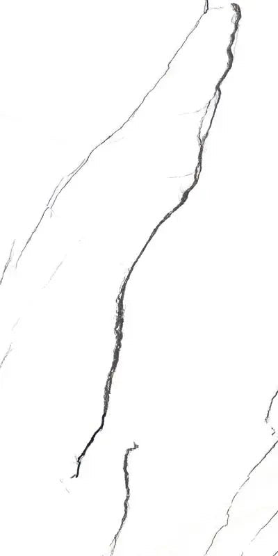 Calacatta Sv Raphael 32" x 64" Field Tile Raphael Porcelain - Zicana Boutique - 1