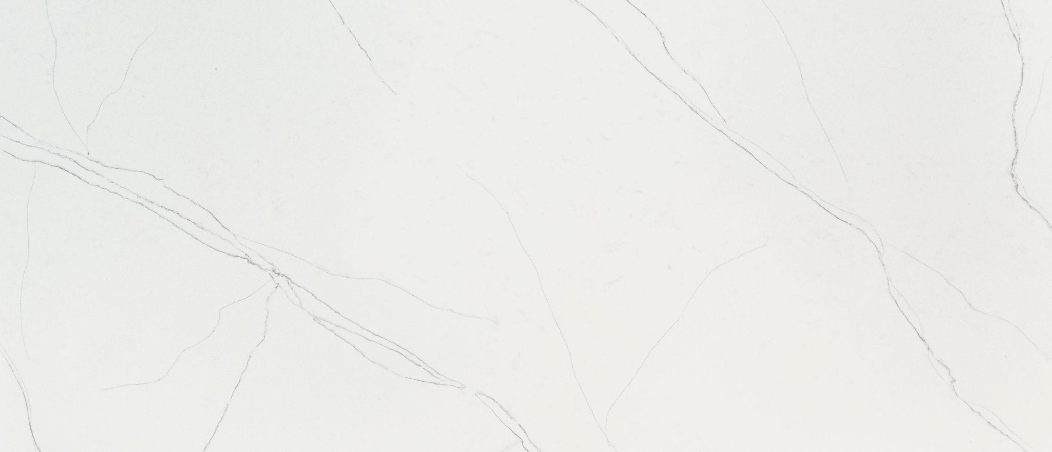 Calacatta Trevi Msi Q MSI - Zicana Boutique - 1