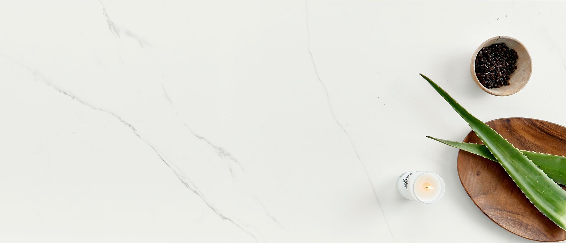Calacatta Trevi Msi Q MSI - Zicana Boutique - 3