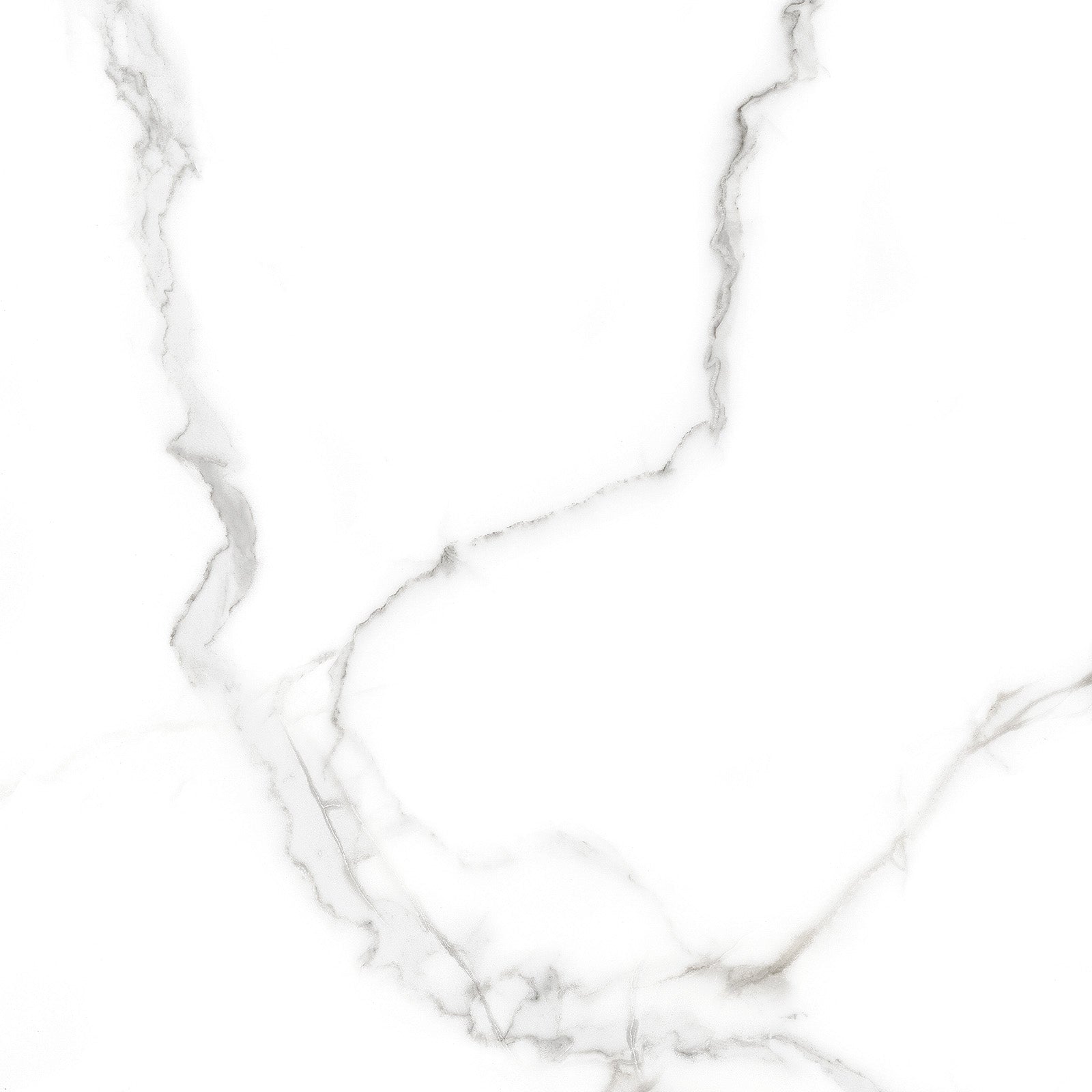 Calacatta Venice Raphael 32" x 32" Field Tile Raphael Porcelain - Zicana Boutique - 1