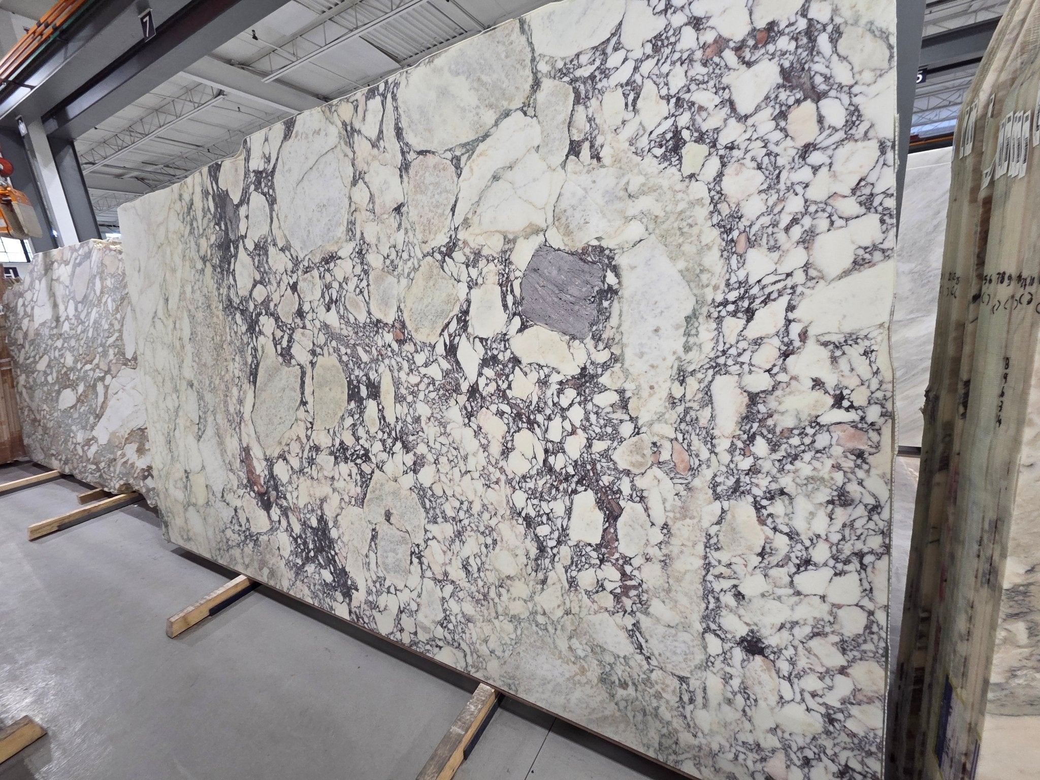 Calacatta Viola Marble Zicana Boutique - Zicana Boutique - 11