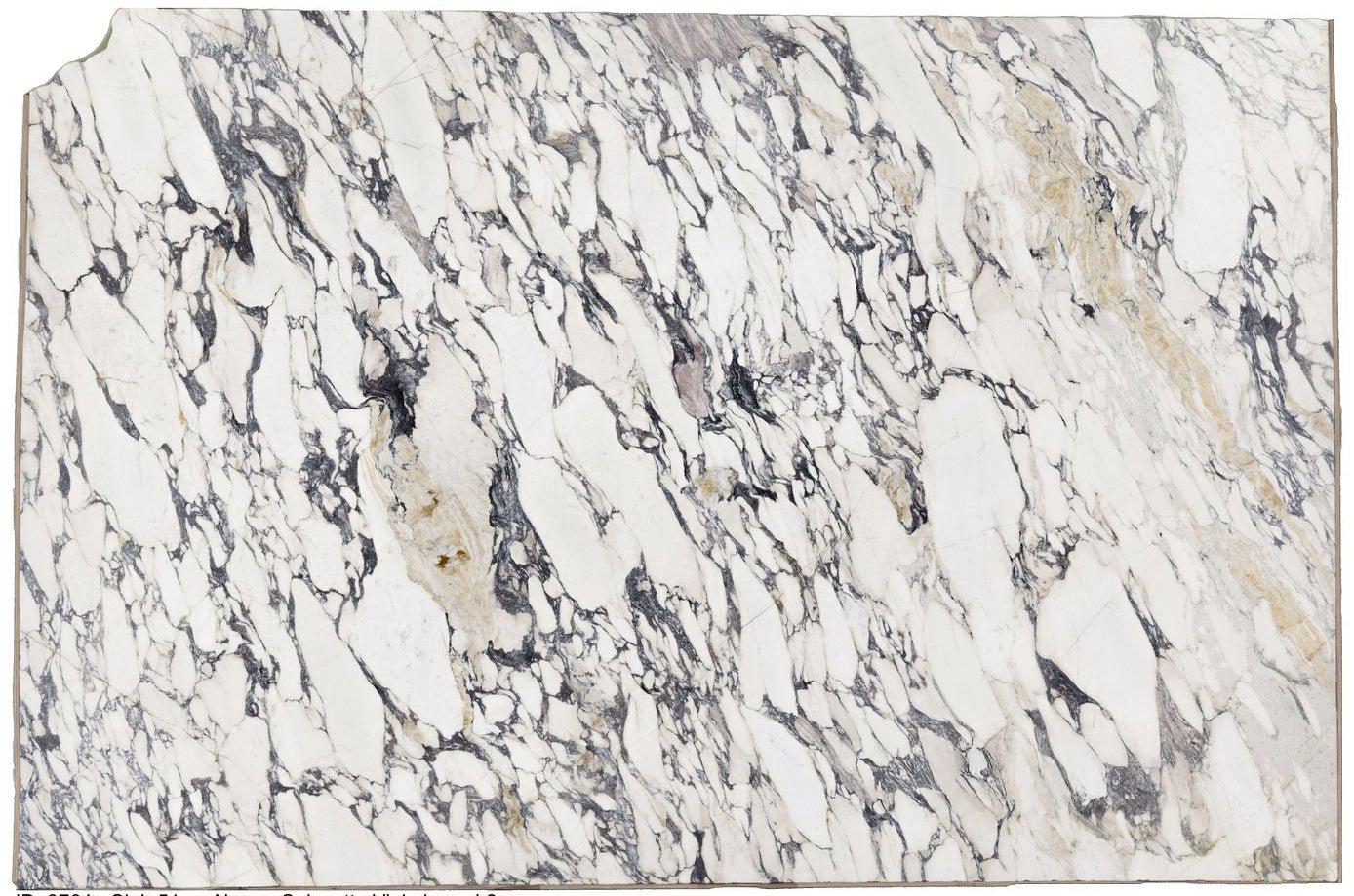 Calacatta Viola Marble Zicana Boutique - Zicana Boutique - 19