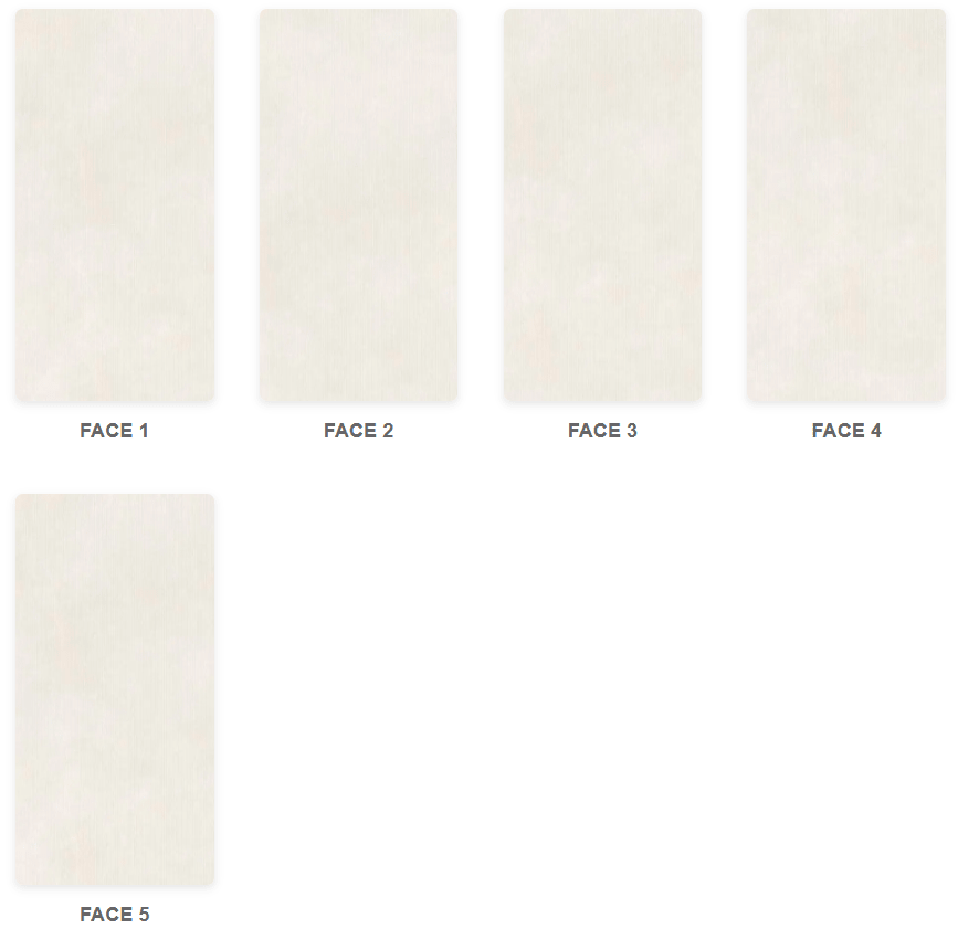 Cementoe Ivory Raphael 32" x 64" Field Tile Raphael Porcelain - Zicana Boutique - 3