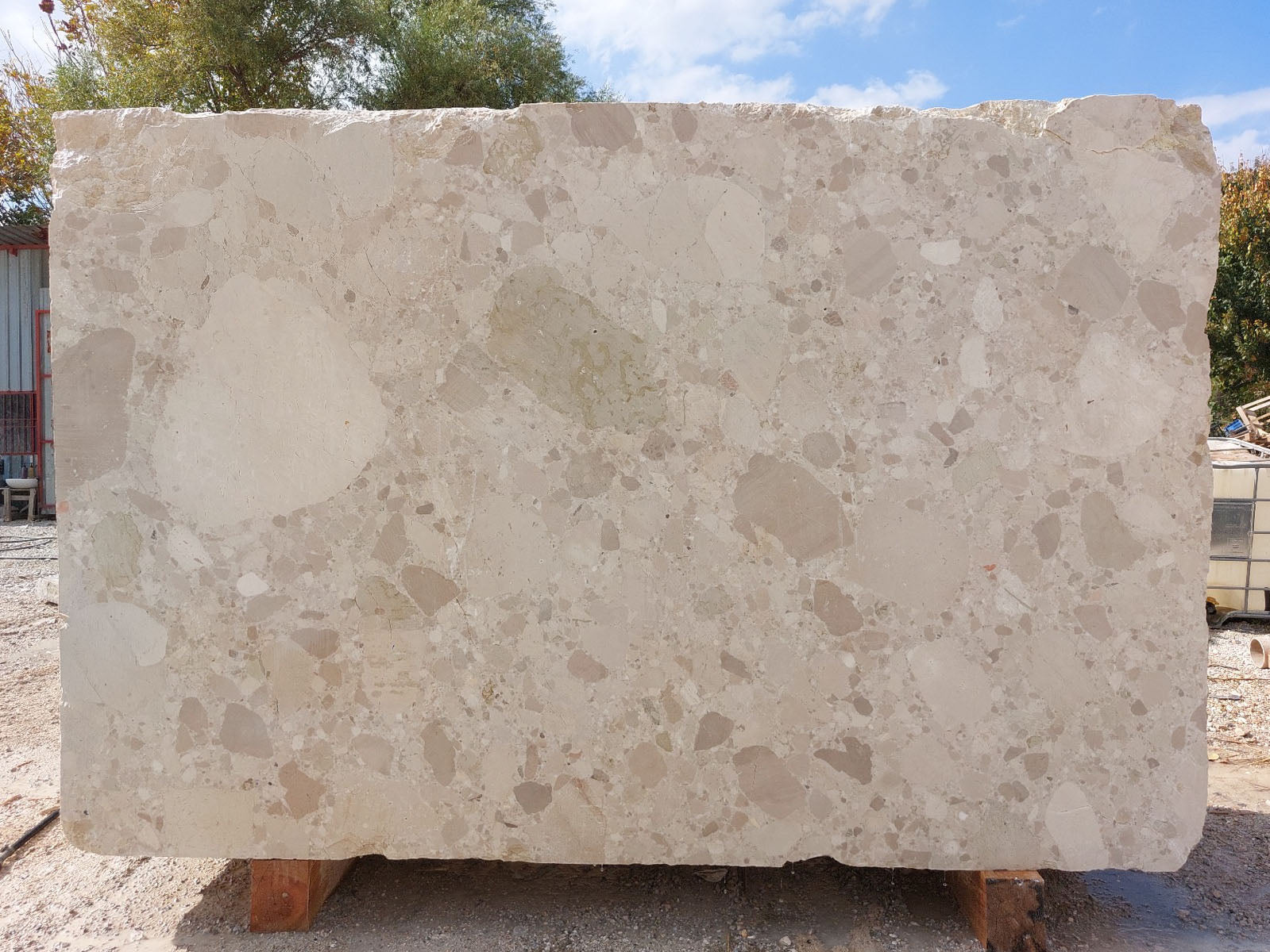Ceppo Beige Marble Marble Couture - Zicana Boutique - 5