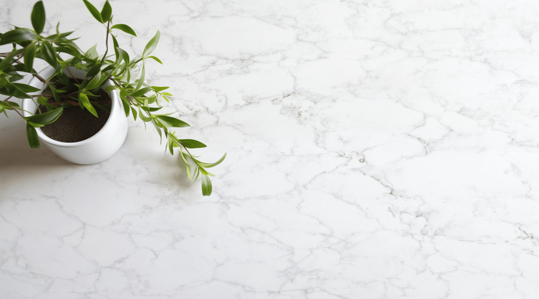 Charisma Spectrum Spectrum - Zicana Boutique - 4