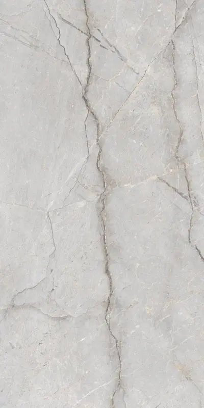 Cristallo Grey Raphael 48" x 96" Field Tile Raphael Porcelain - Zicana Boutique - 1