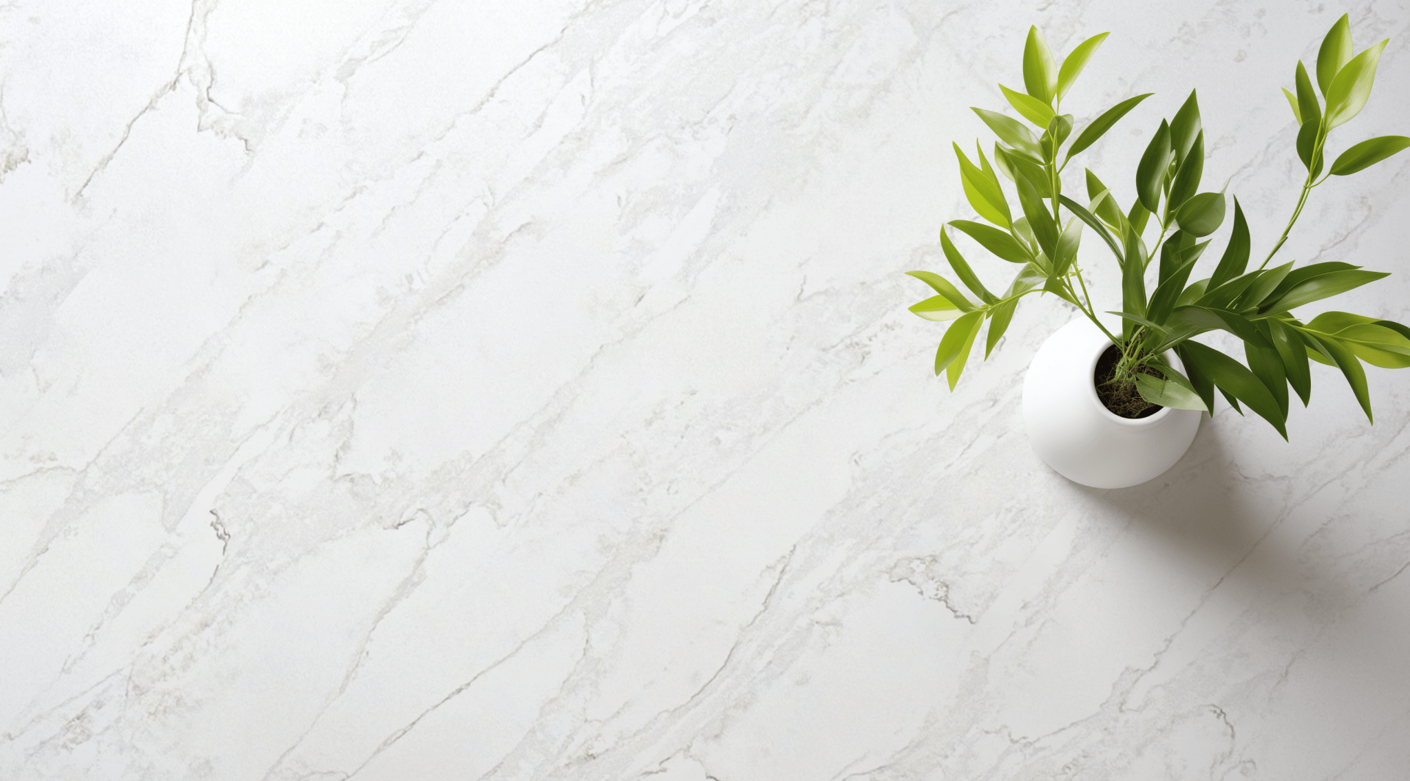 Enchanting Spectrum Spectrum - Zicana Boutique - 3