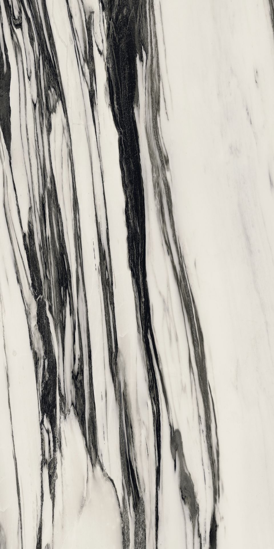 Fall Florim Florim - Zicana Boutique - 3