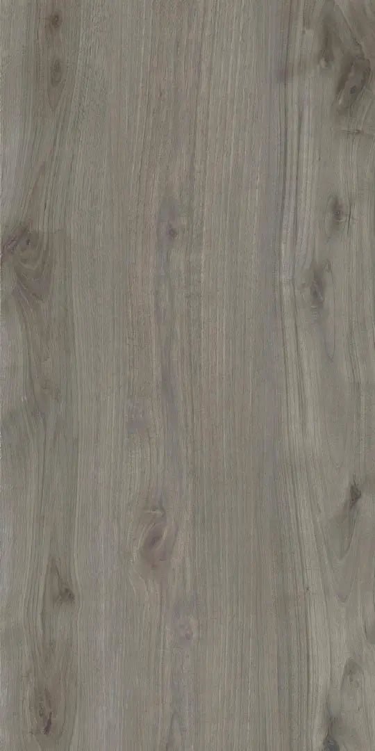 Forest Dark Grey Raphael 16" x 32" Pavers Raphael Porcelain - Zicana Boutique - 1