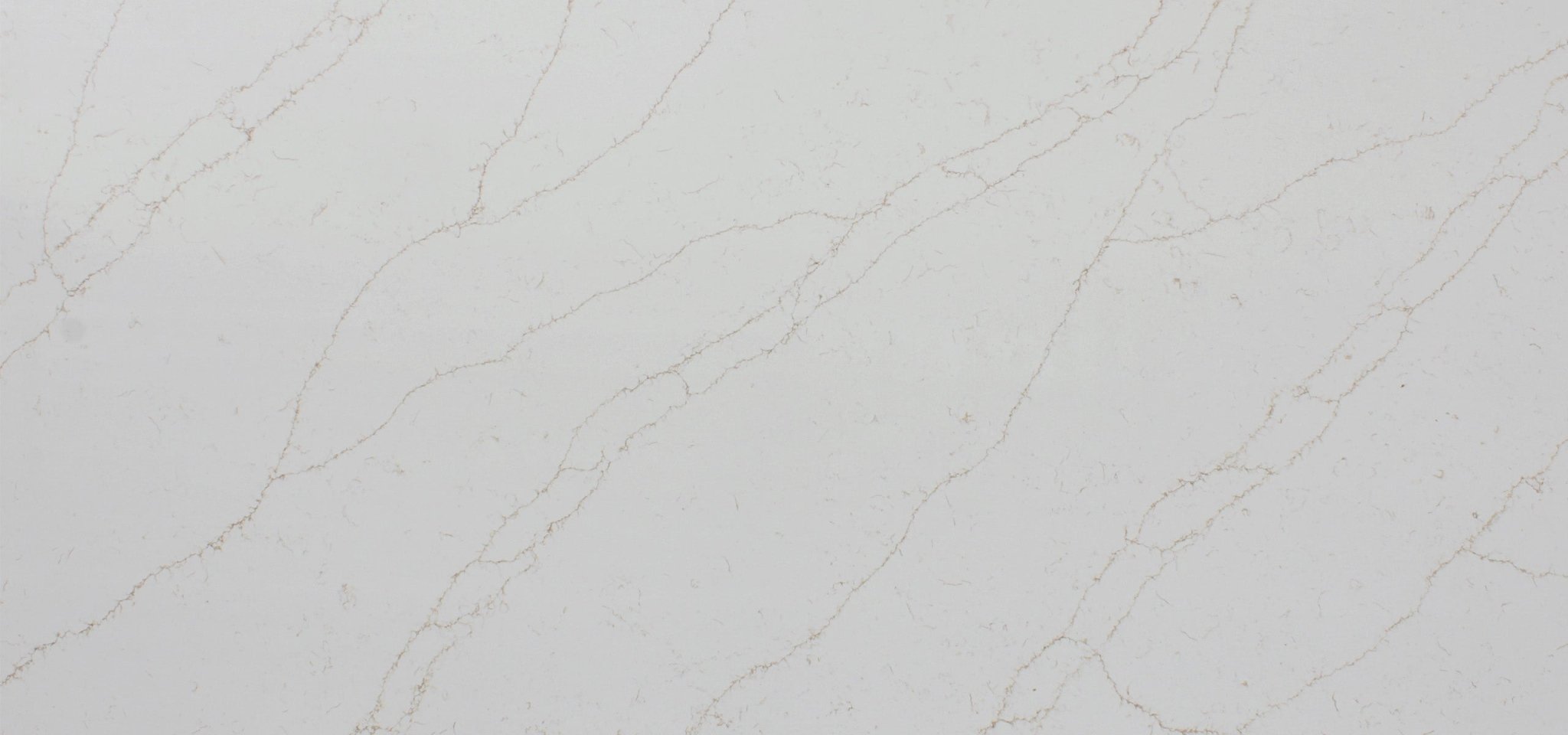 Giotto Gold Variant Quartz Variant- Zicana Boutique -1