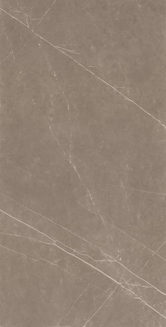 Graphite Raphael 32" x 64" Field Tile Raphael Porcelain - Zicana Boutique - 1