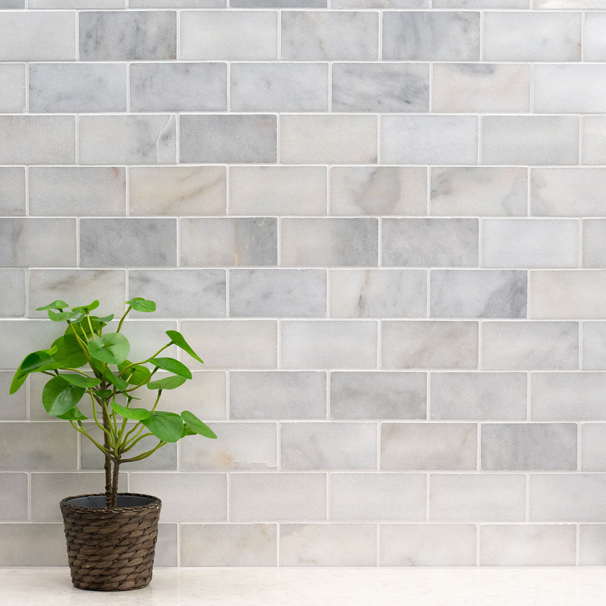 Greecian White Beveled Marble MSI Field Tiles 3" X 6" MSI - Zicana Boutique - 2