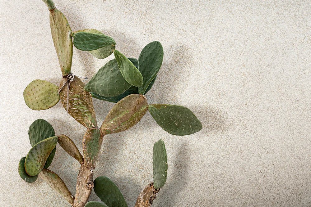 Grezza White Porcelain Field Tile 16x32 Artistic Tile - Zicana Boutique - 4