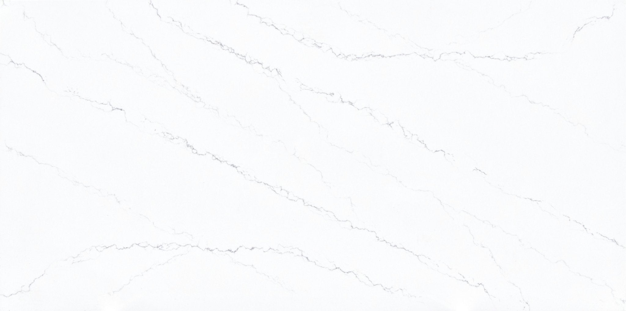 Intrepid Spectrum Spectrum - Zicana Boutique - 3