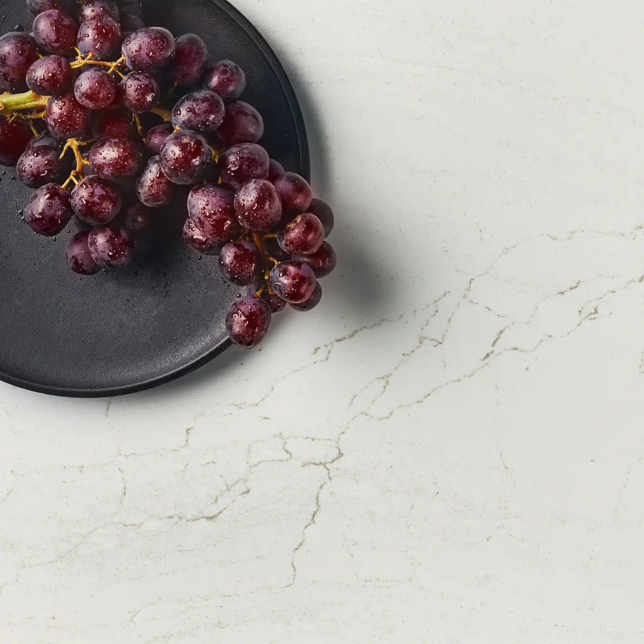 MacBeth Cambria Cambria - Zicana Boutique - 5