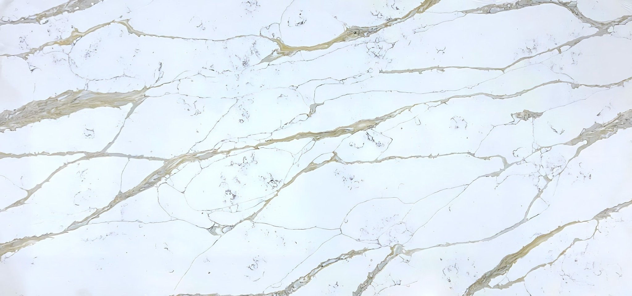 Michelangelo Gold Variant Quartz Variant- Zicana Boutique -1
