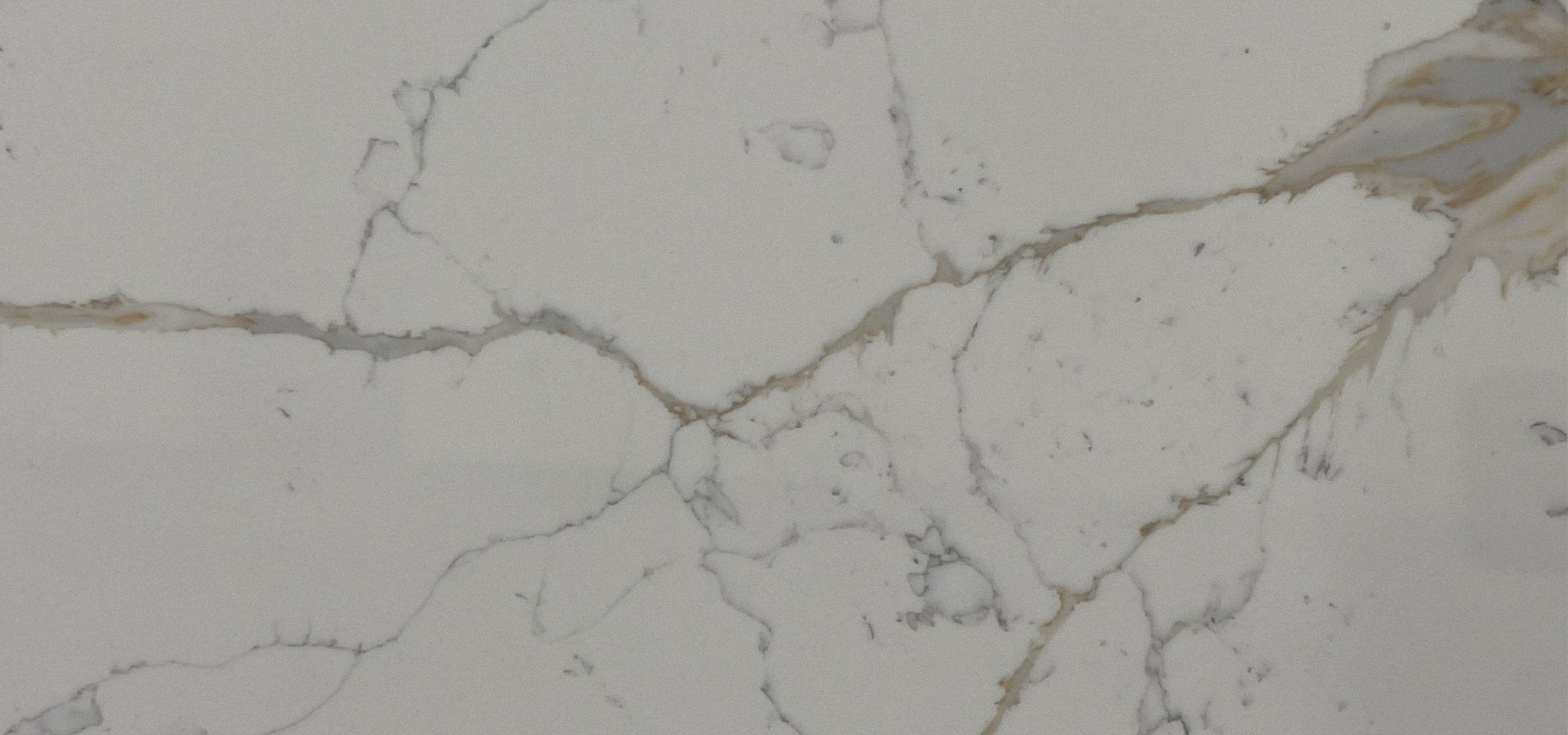 Michelangelo Gold Variant Quartz Variant- Zicana Boutique -3