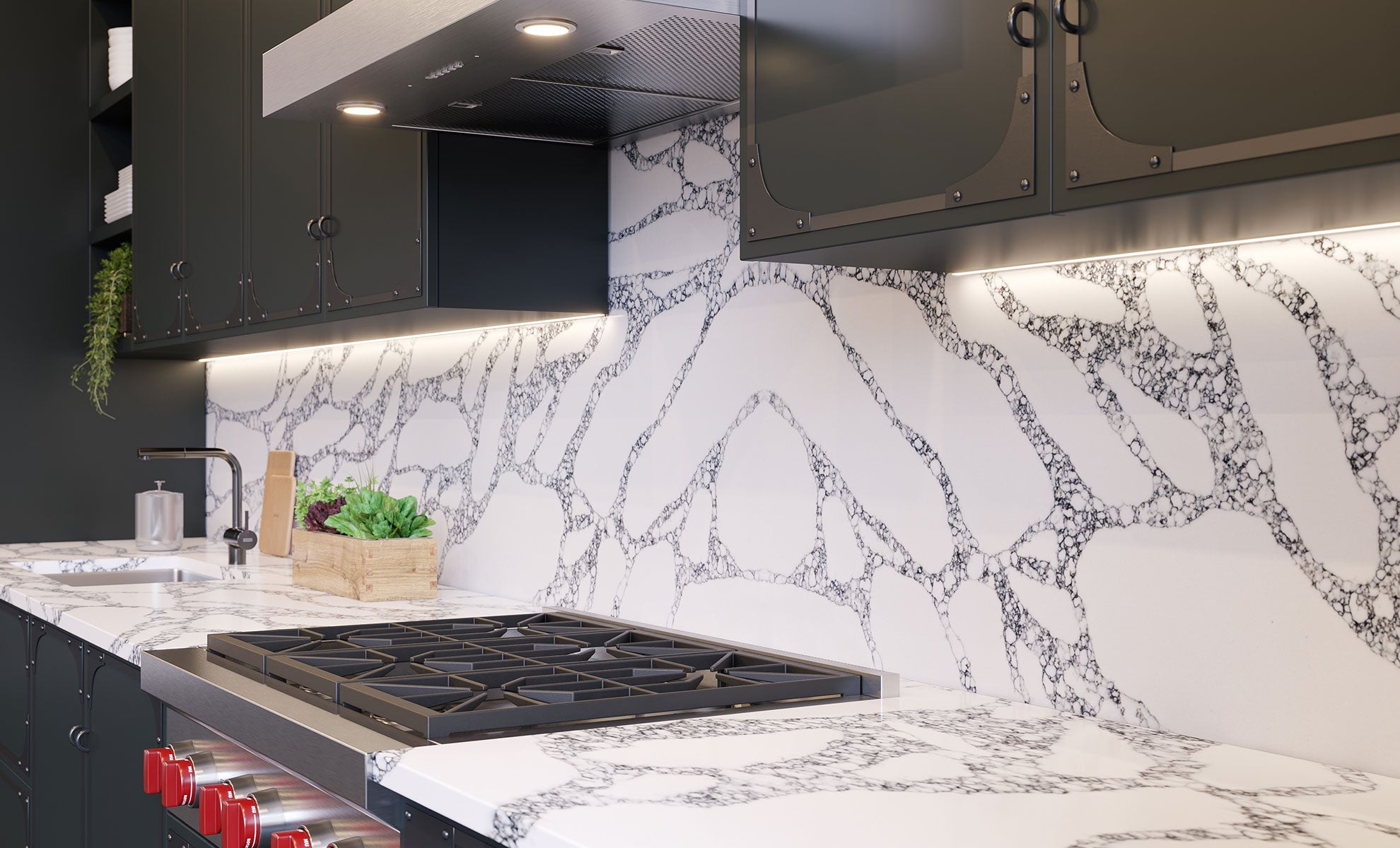 Nakoda Vadara Vadara - Zicana Boutique - 4