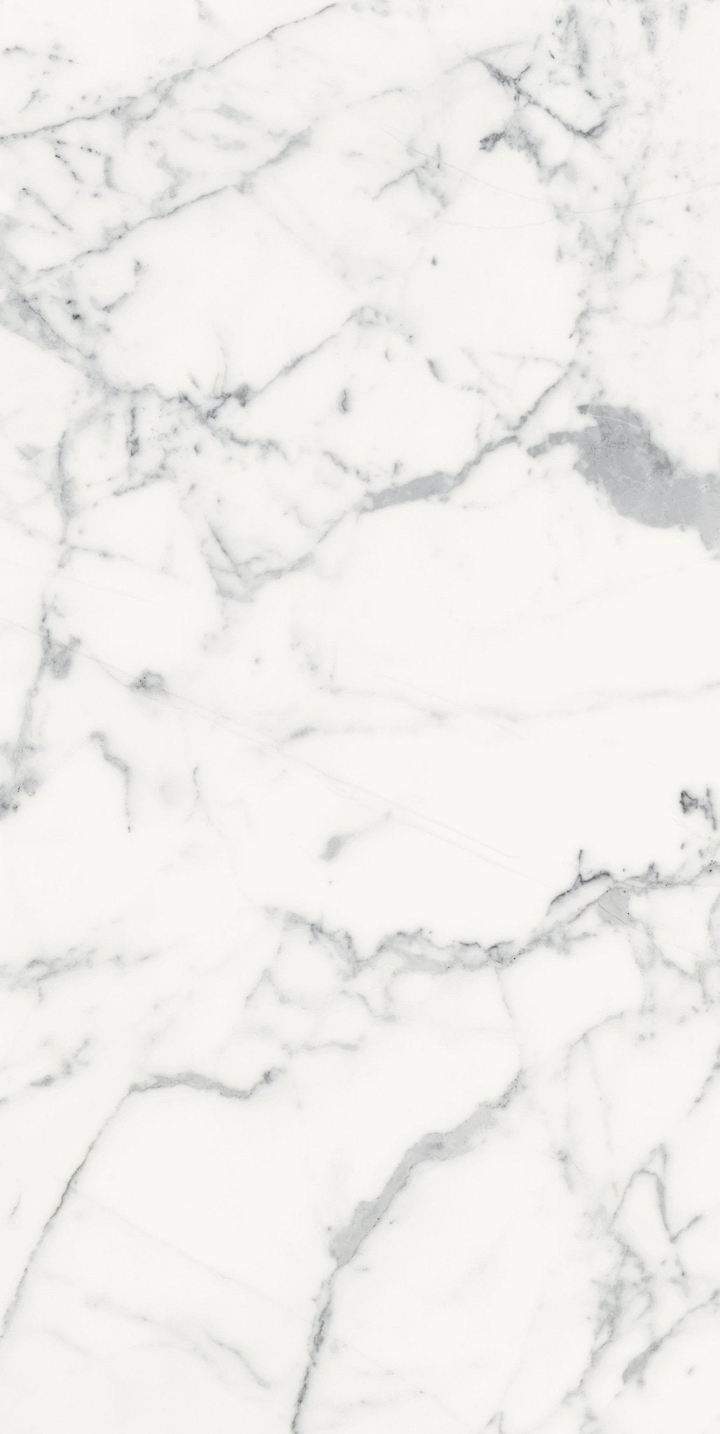 Origines Blanc Porcelain Florim Field Tiles 24" X 48" Florim - Zicana Boutique - 5