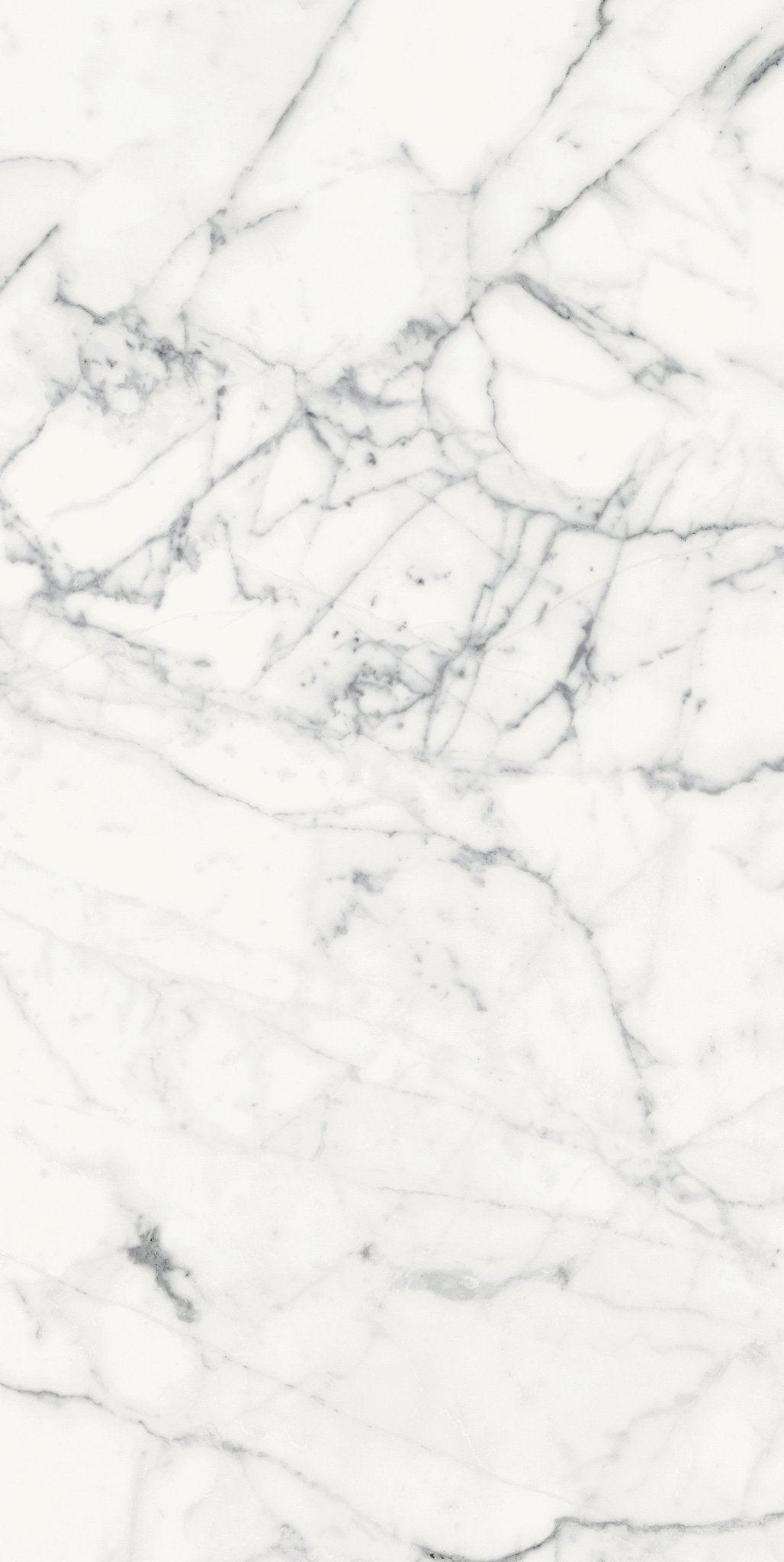 Origines Blanc Porcelain Florim Field Tiles 24" X 48" Florim - Zicana Boutique - 7