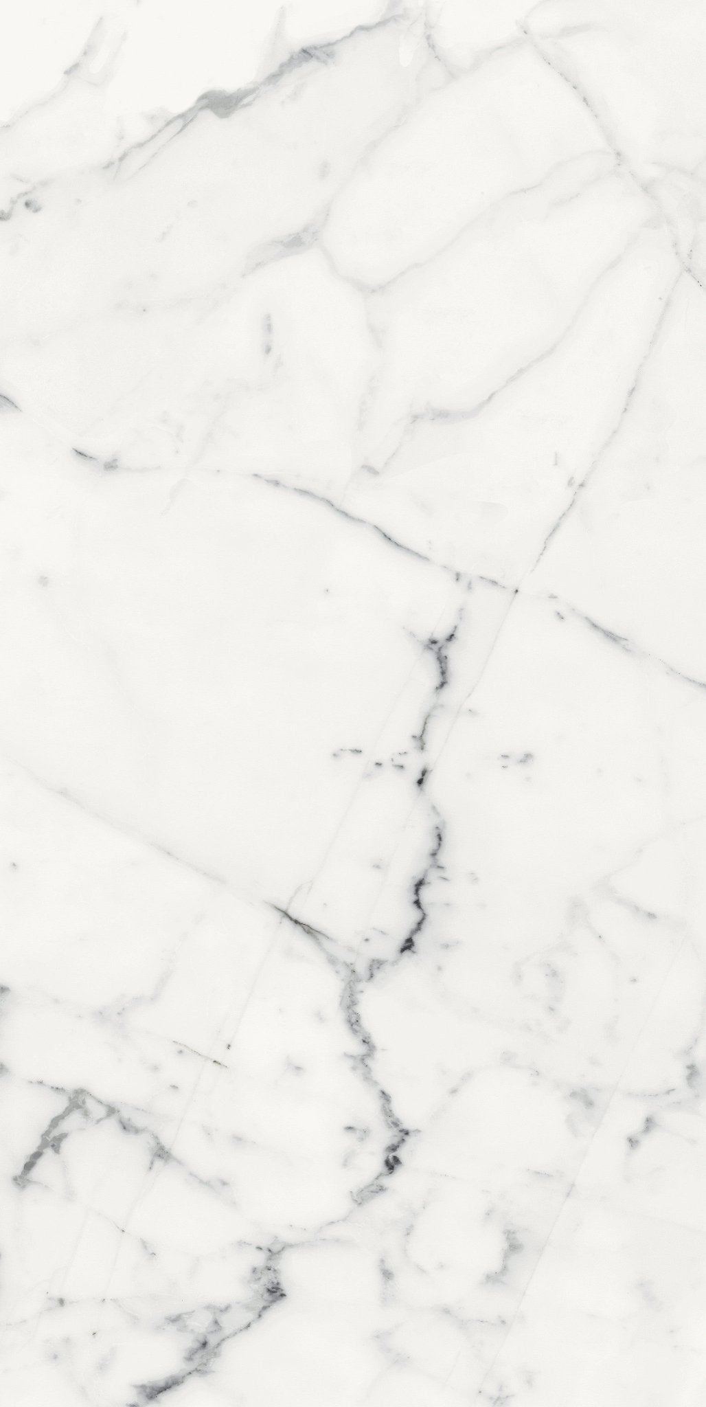 Origines Blanc Porcelain Florim Field Tiles 24" X 48" Florim - Zicana Boutique - 9