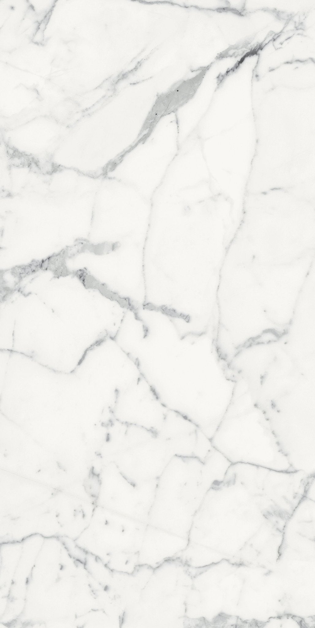 Origines Blanc Porcelain Florim Field Tiles 24" X 48" Florim - Zicana Boutique - 8