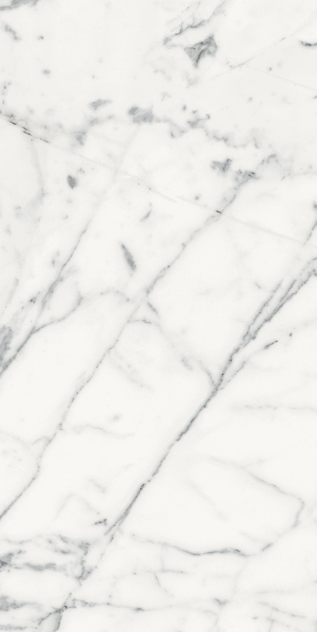 Origines Blanc Porcelain Florim Field Tiles 24" X 48" Florim - Zicana Boutique - 3
