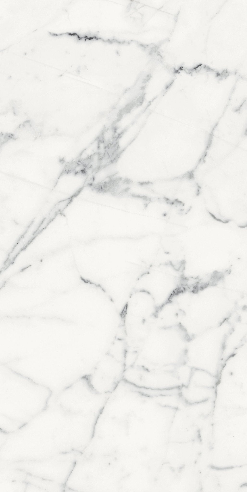 Origines Blanc Porcelain Florim Field Tiles 24" X 48" Florim - Zicana Boutique - 4