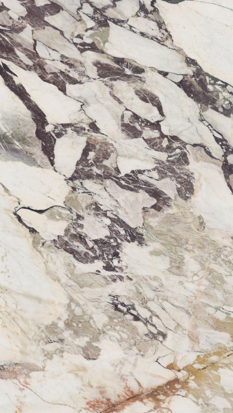 Paonazzo Brecciato Marble Marble Couture - Zicana Boutique - 1