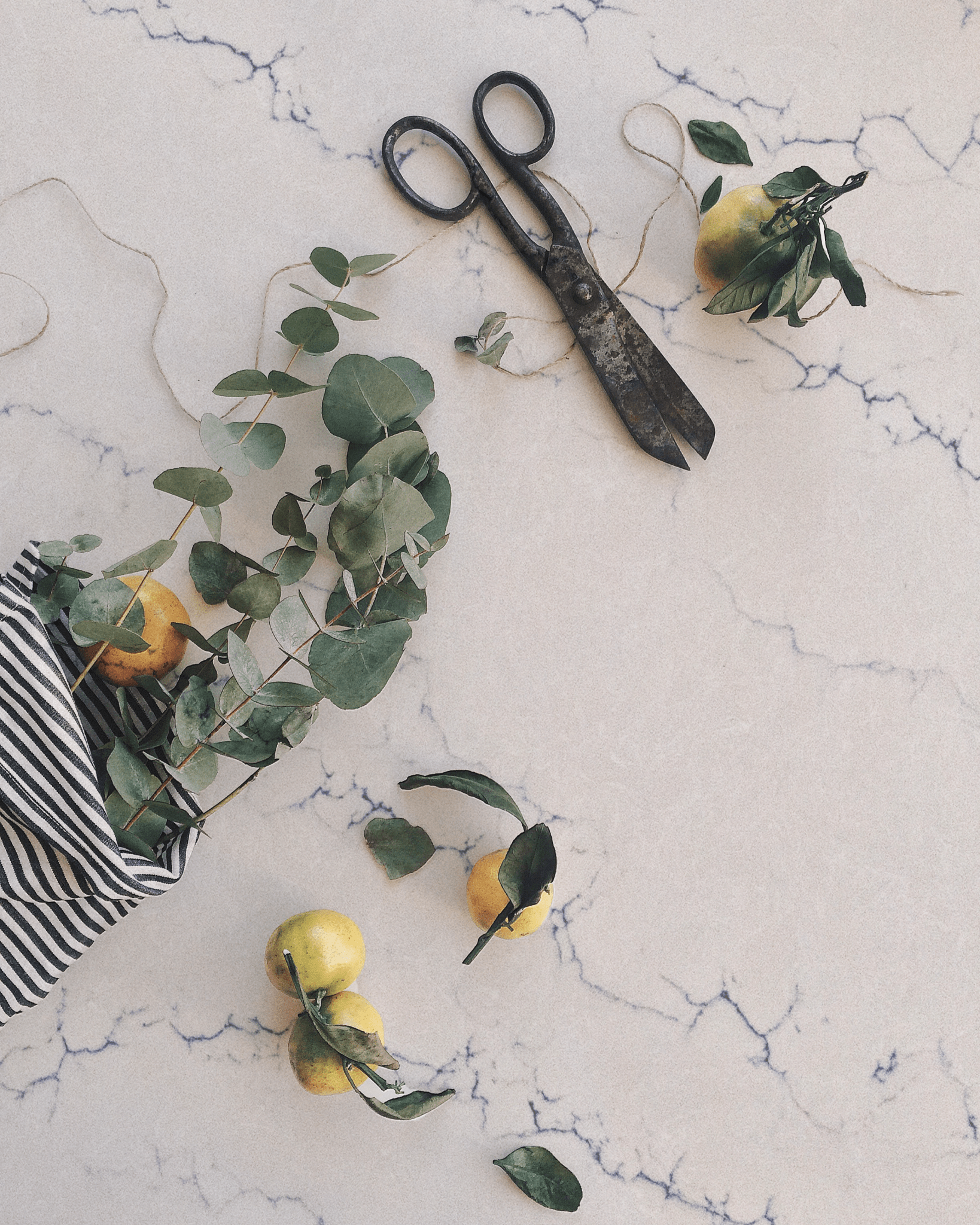 Paradise Spectrum Spectrum - Zicana Boutique - 2