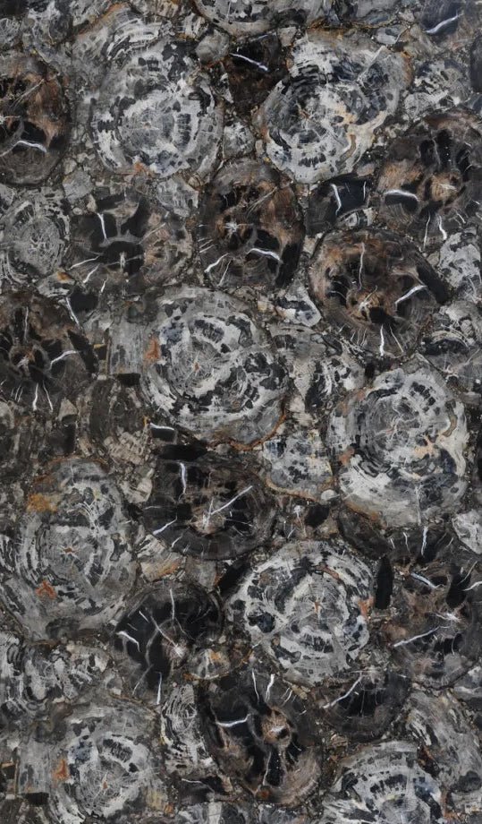 Petrified Wood Black Gemstone Zicana Boutique - Zicana Boutique - 1