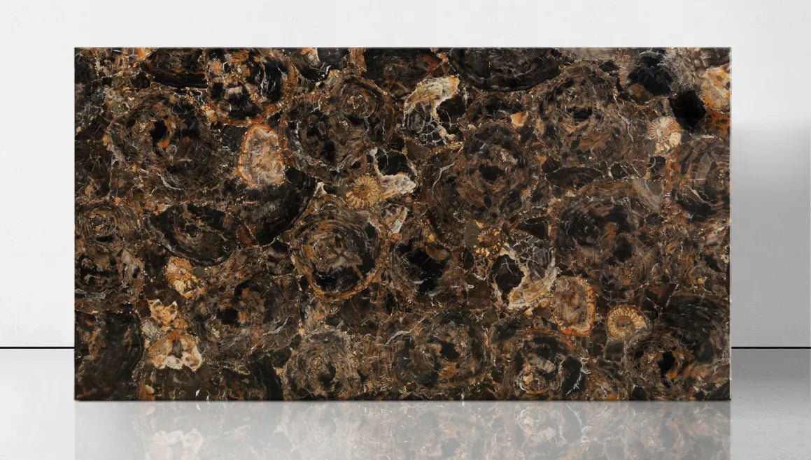 Petrified Wood Black Gemstone Zicana Boutique - Zicana Boutique - 6