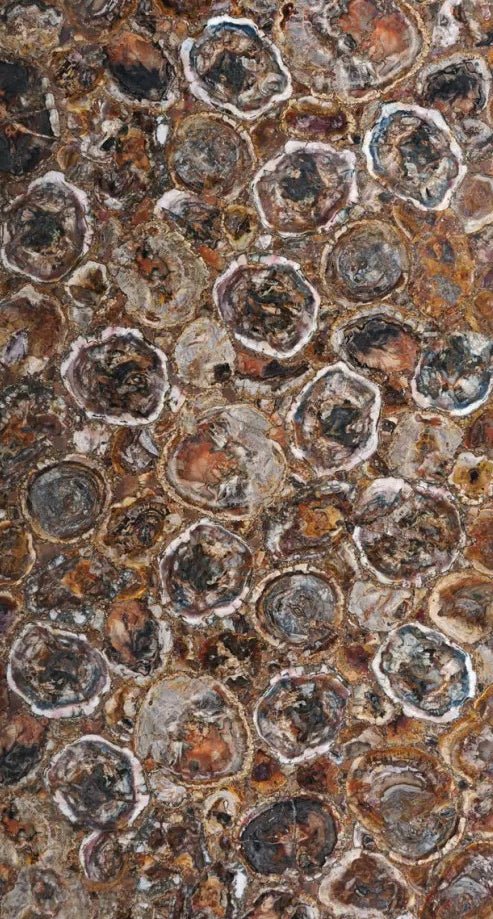 Petrified Wood Multicolour Gemstone Zicana Boutique - Zicana Boutique - 1