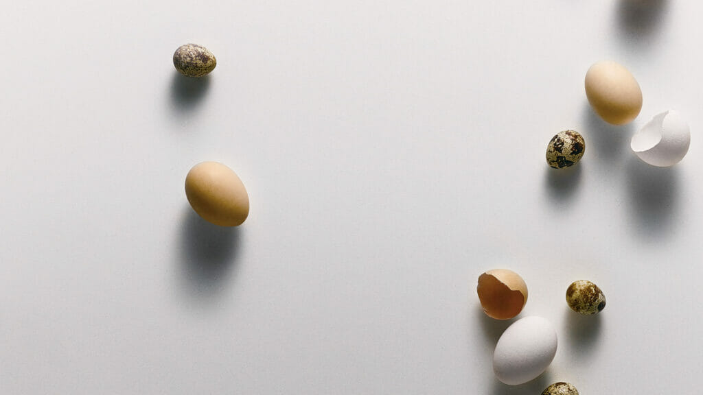 Pure White Caesarstone Caesarstone - Zicana Boutique - 4