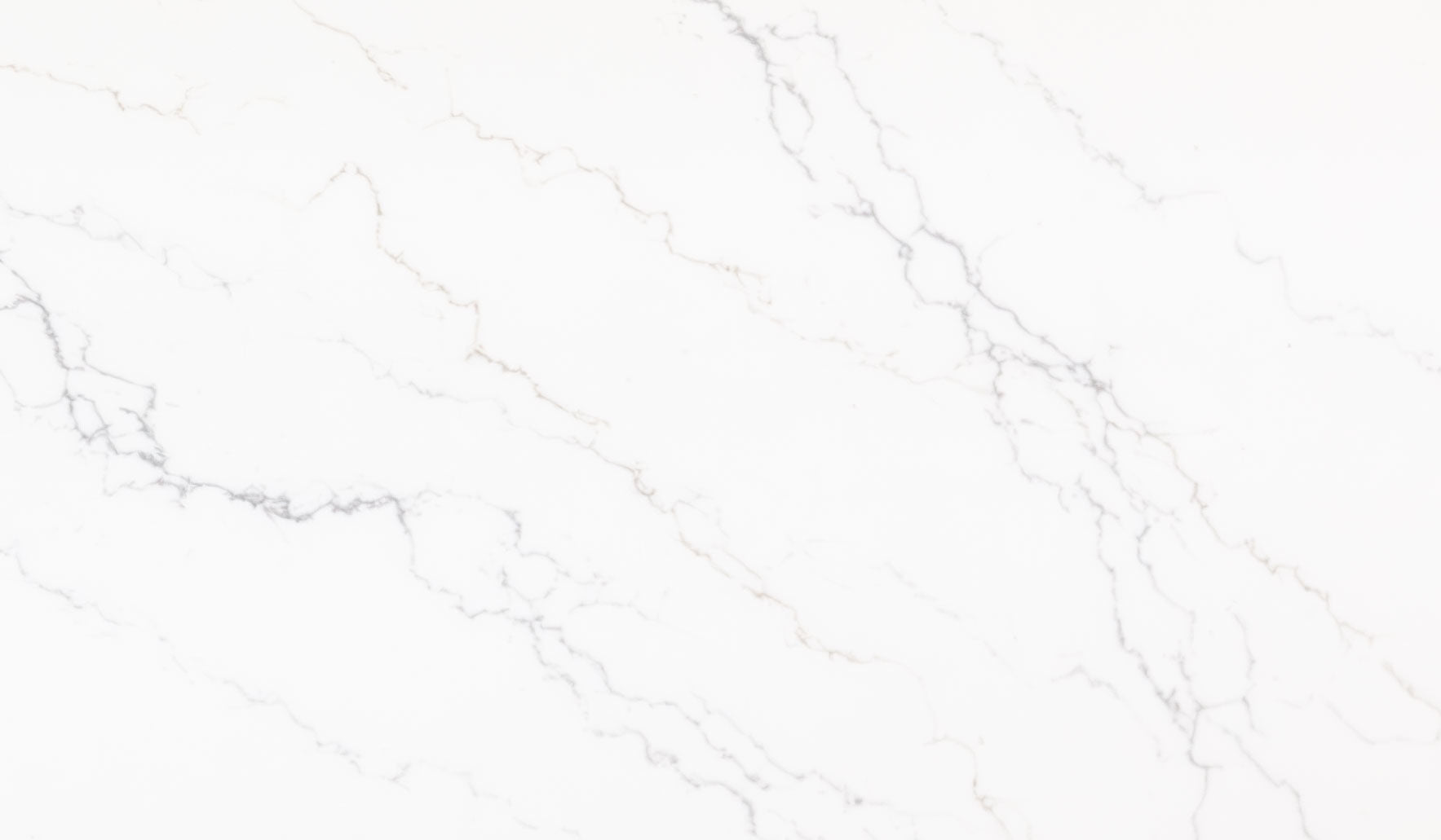 Remarkable Spectrum Spectrum - Zicana Boutique - 4