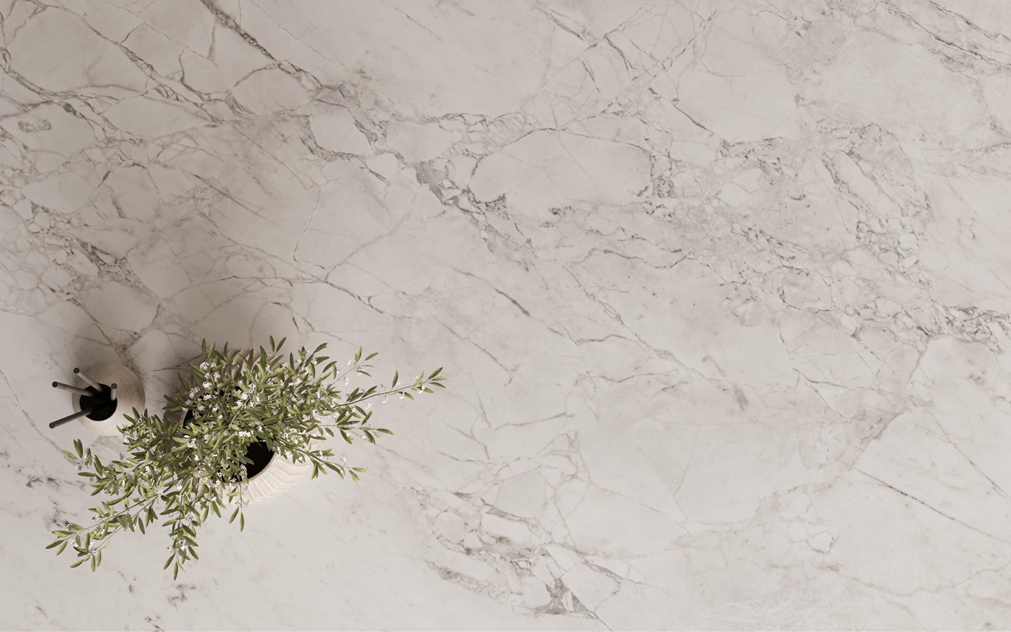 Superior White Teracanto Teracanto - Zicana Boutique - 6