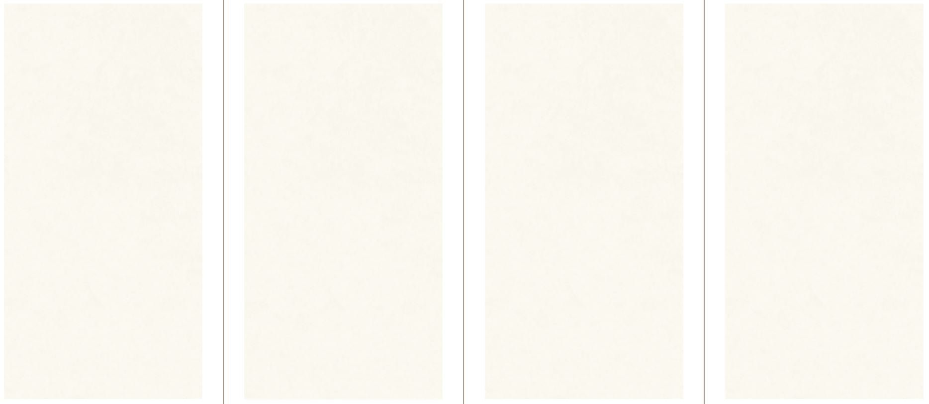 Taxos Maximum Fiandre - Zicana Boutique - 4