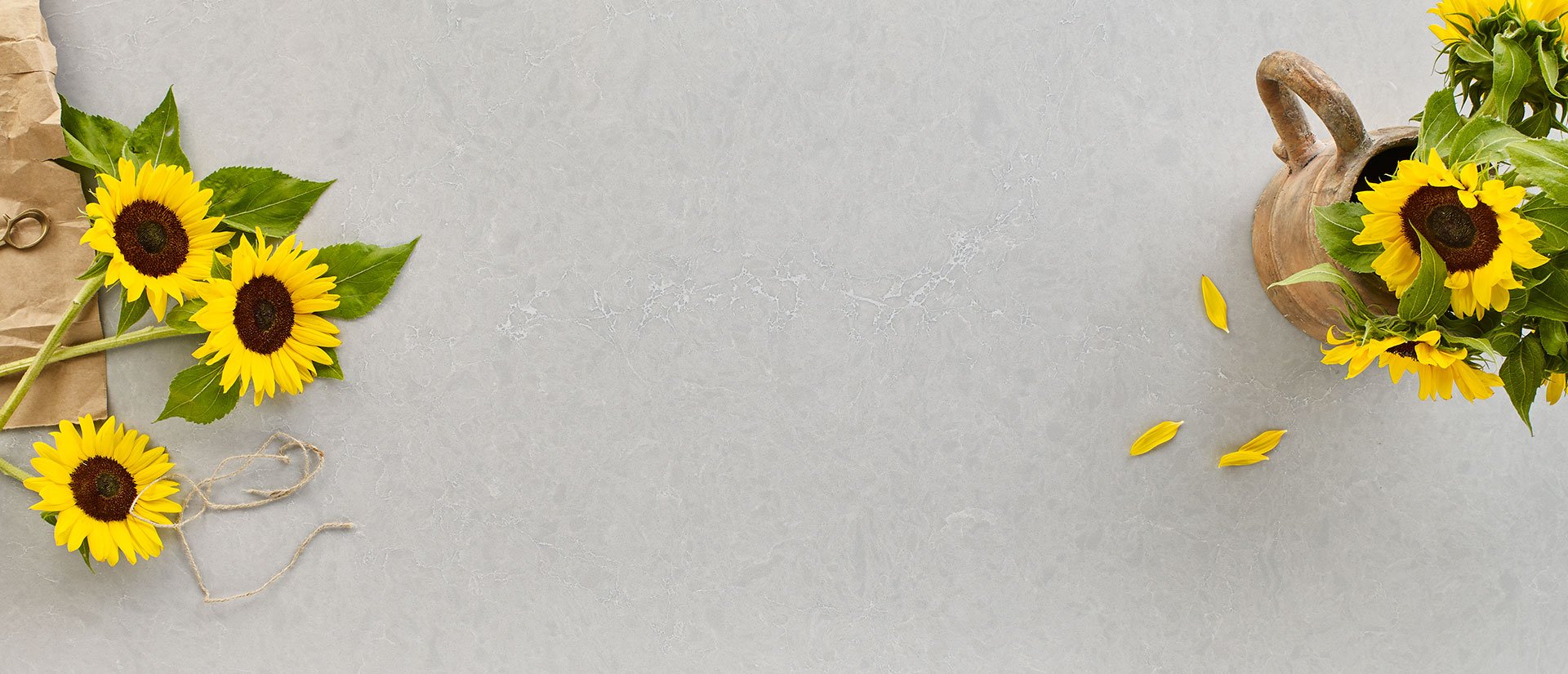 Vena Carbona Msi Q MSI - Zicana Boutique - 3